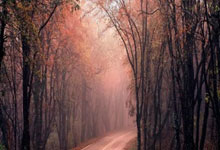 爱游戏：图片报：聚勒不会在夏窗离开多特，他计划要在科瓦奇手下证明自己.