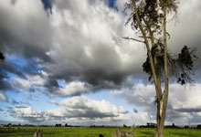 沙特快速反击造险，高准翼没铲到球，蒋圣龙关键解围！.