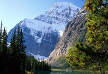 家乡父老前 阿根廷主帅热泪盈眶!高高举起大力神杯.